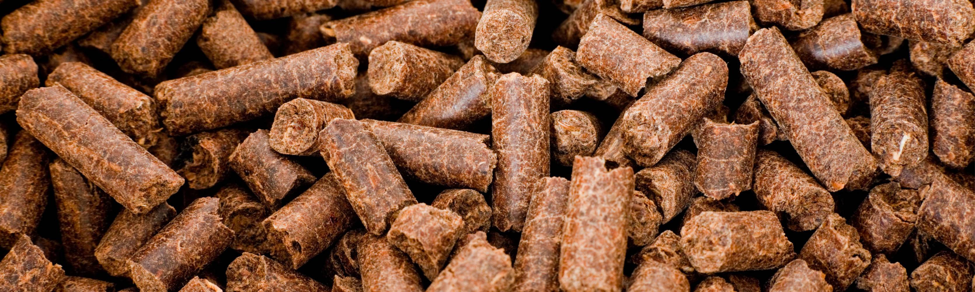 Biobrennstoffe